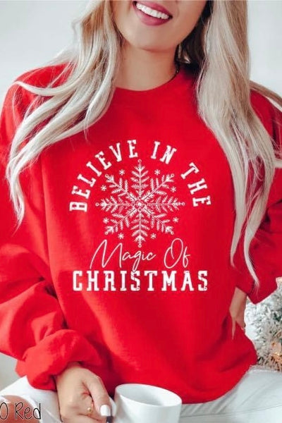 Believe in the Magic Sweatshirt (MULTIPLE COLORS)